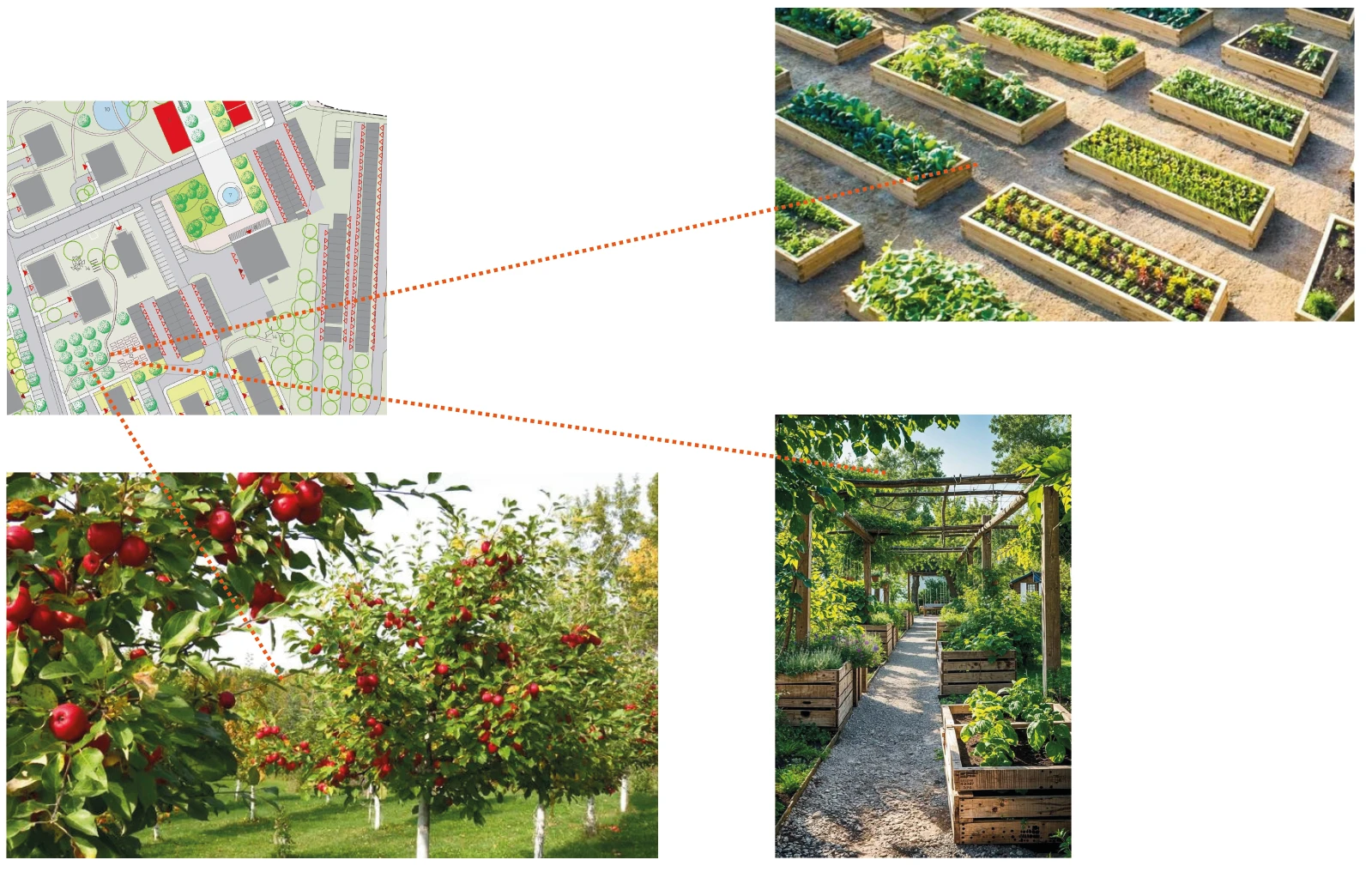 Varianta B: komunitní zahrádky a malý sad